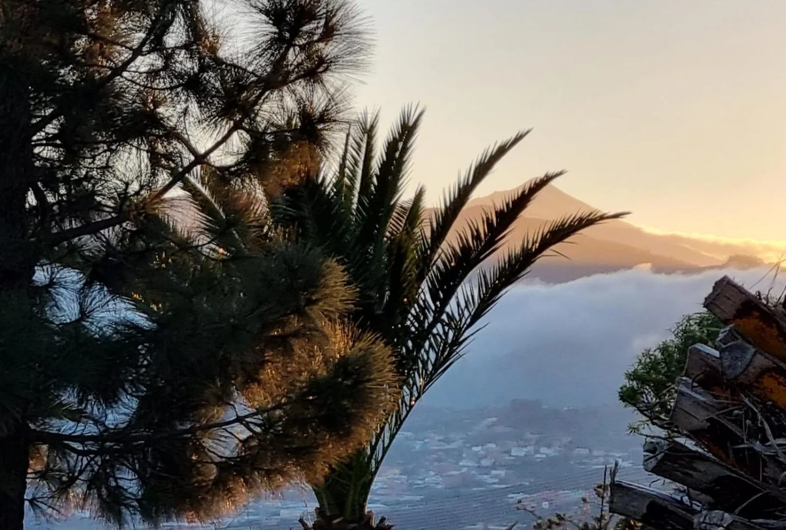 Vila Quinta La Bella La Laguna  0*, La Laguna (Tenerife) Španělsko
